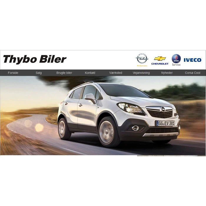 Olieskift basis til alle person bilmærker fra Thybo Biler, Nybovej 55 Holstebro